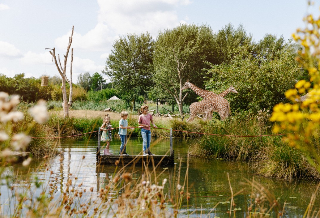 Zoo parc 1.jpg