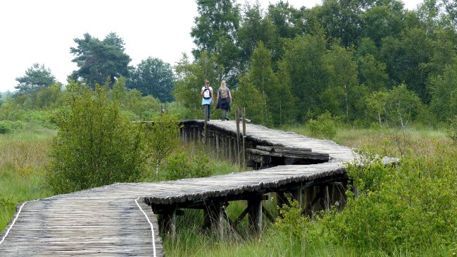 Knuppelbrug3-min.JPG