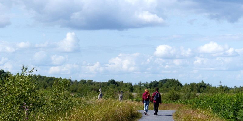 Gele route1-min.JPG