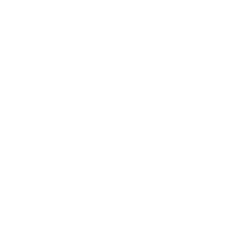 Toverland-logo