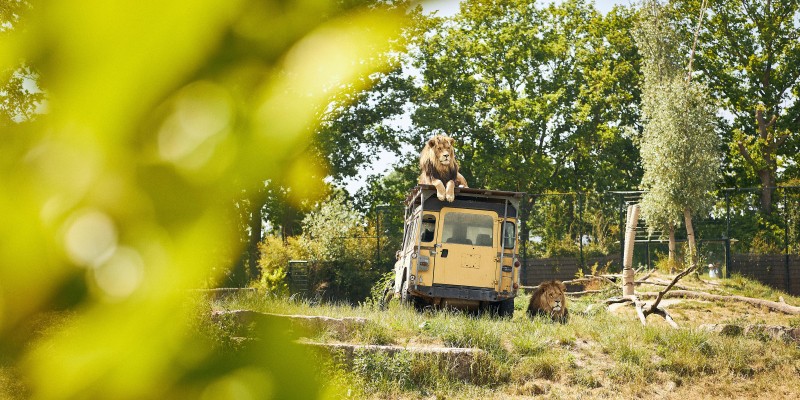 Zoo parc 2.jpg