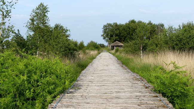 Knuppelbrug1-min.JPG