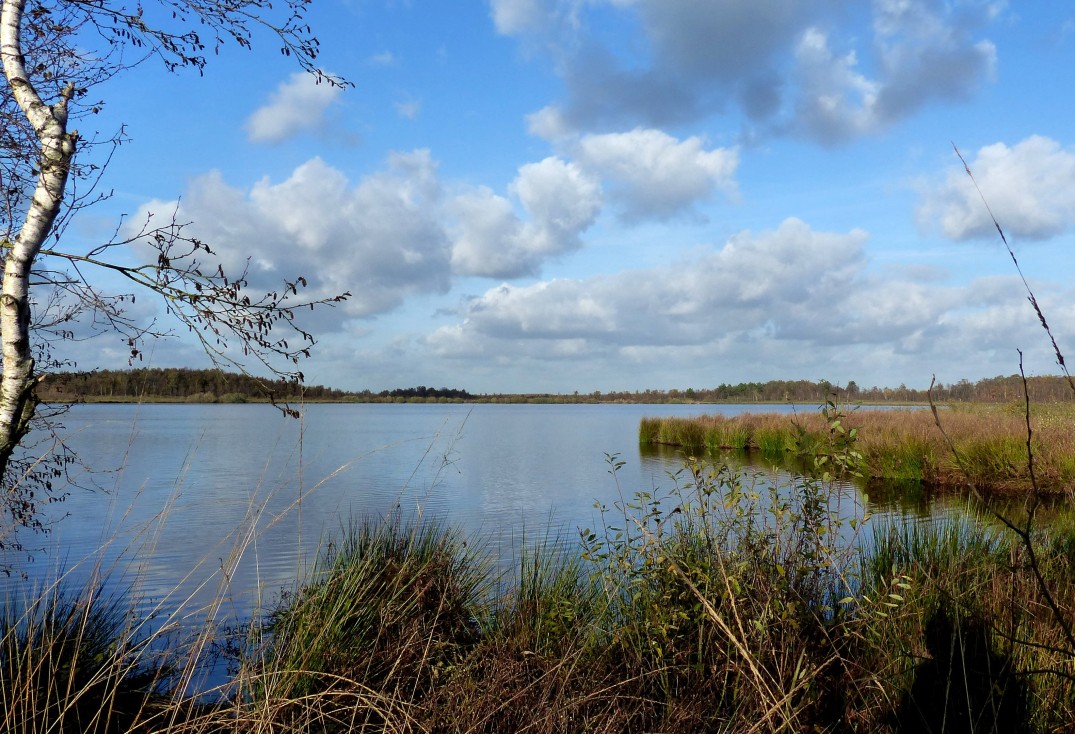 Waterplas 't Elfde-min.JPG