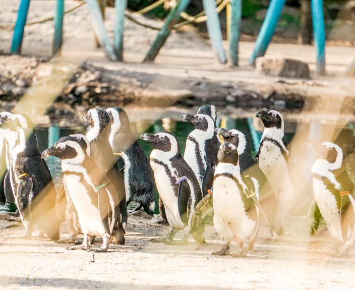 Zoo parc 3.jpg