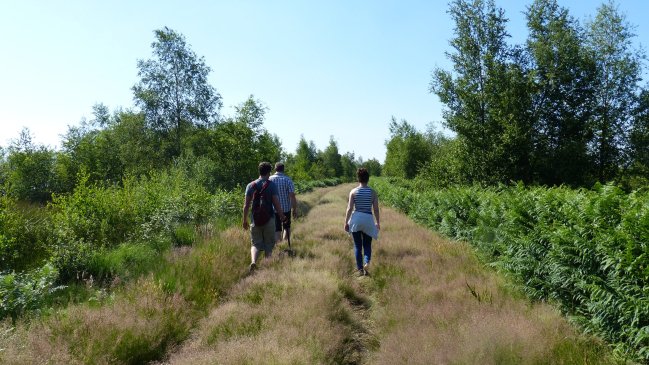 Wandelaars Peelbaan1-min.JPG