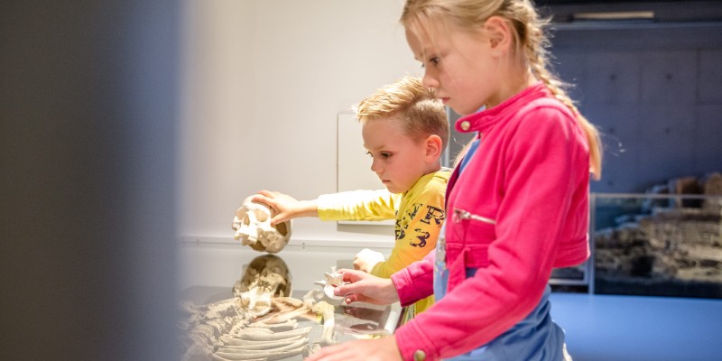 Neanderthalet tot stedeling - skelet 3-min.jpg