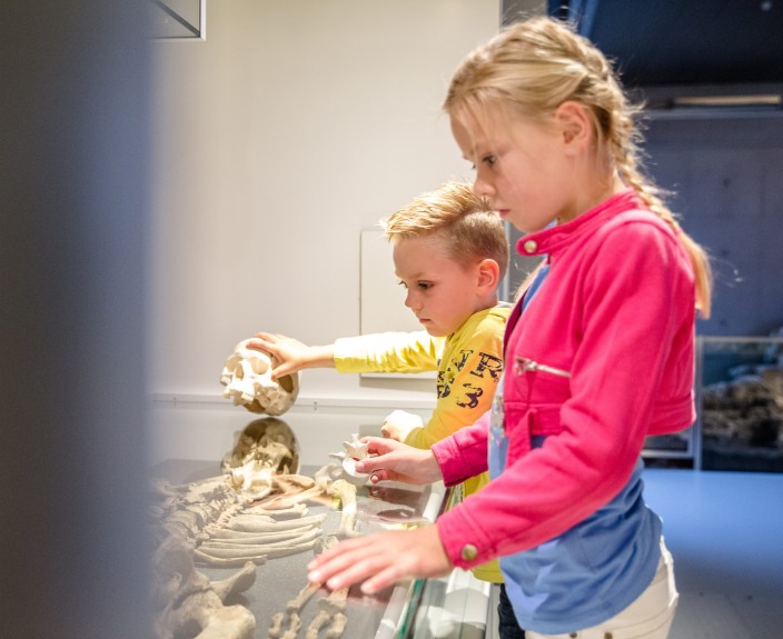 Neanderthalet tot stedeling - skelet 3-min.jpg