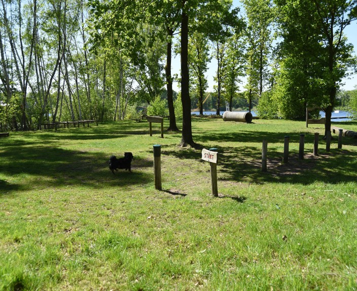 DSC_3132.JPG