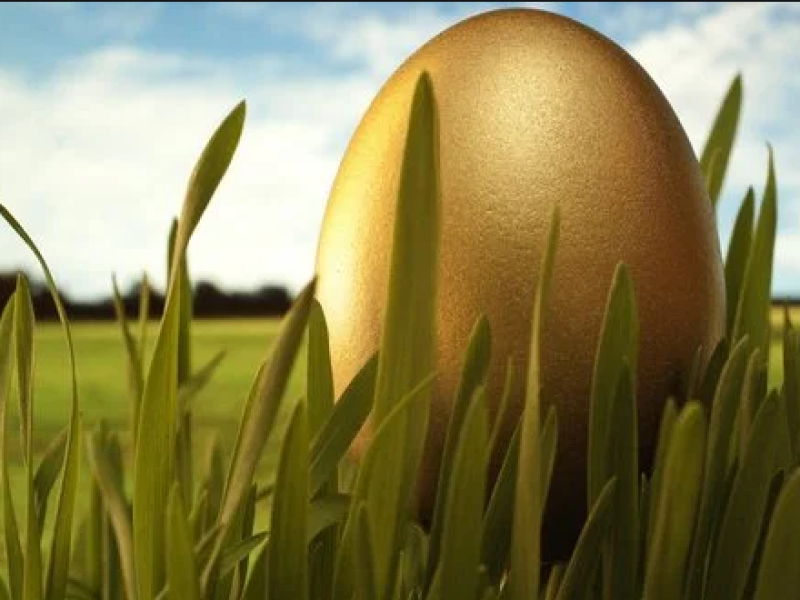 gouden-ei-2.png