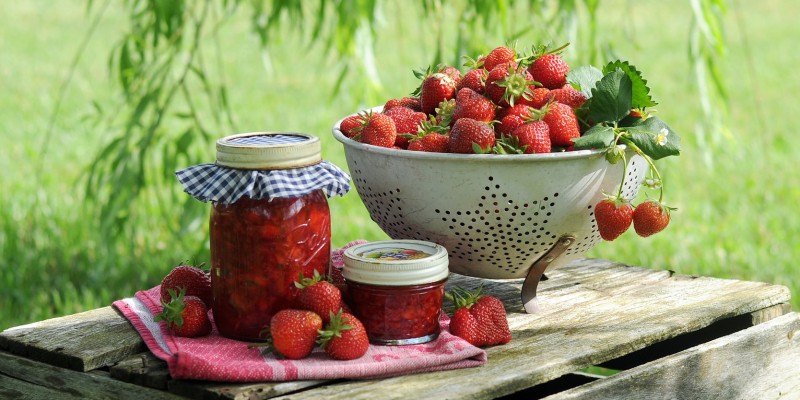 Aardbeienland