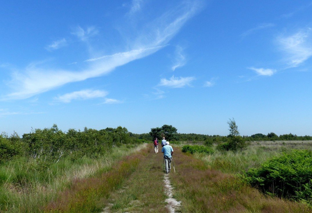 Wandelaars Peelbaan2-min.JPG